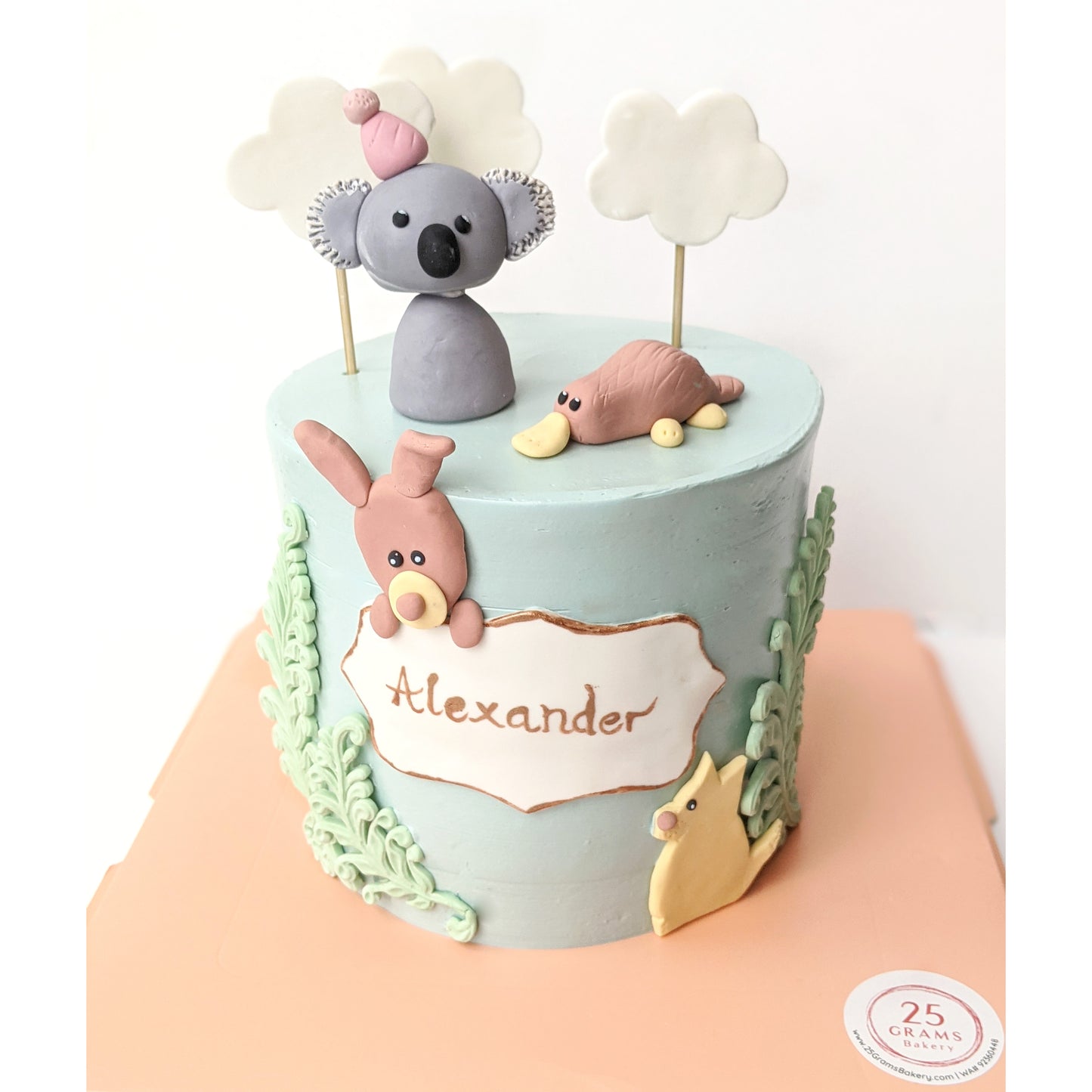 Koala Aussie Animal Cake *GF/V Avail