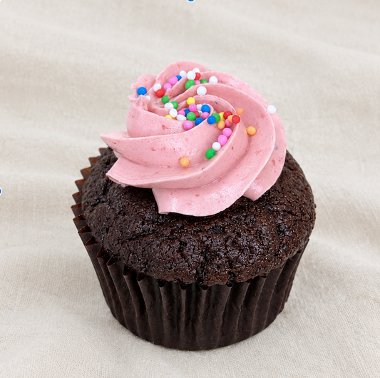 Mini Raspberry Chocolate Cupcake